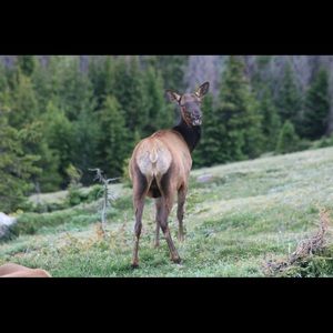 Meet your Posher, Jack